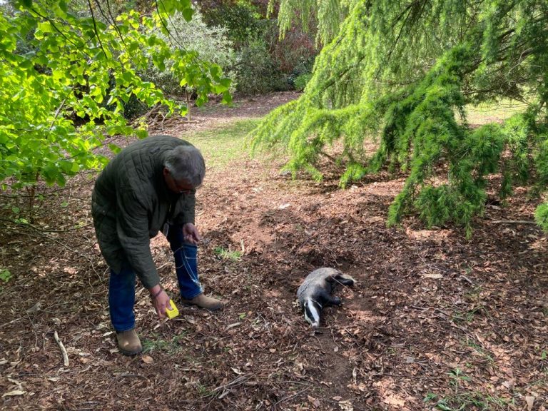 Wildlife Detectives Take Part In New Forensics Training Programme